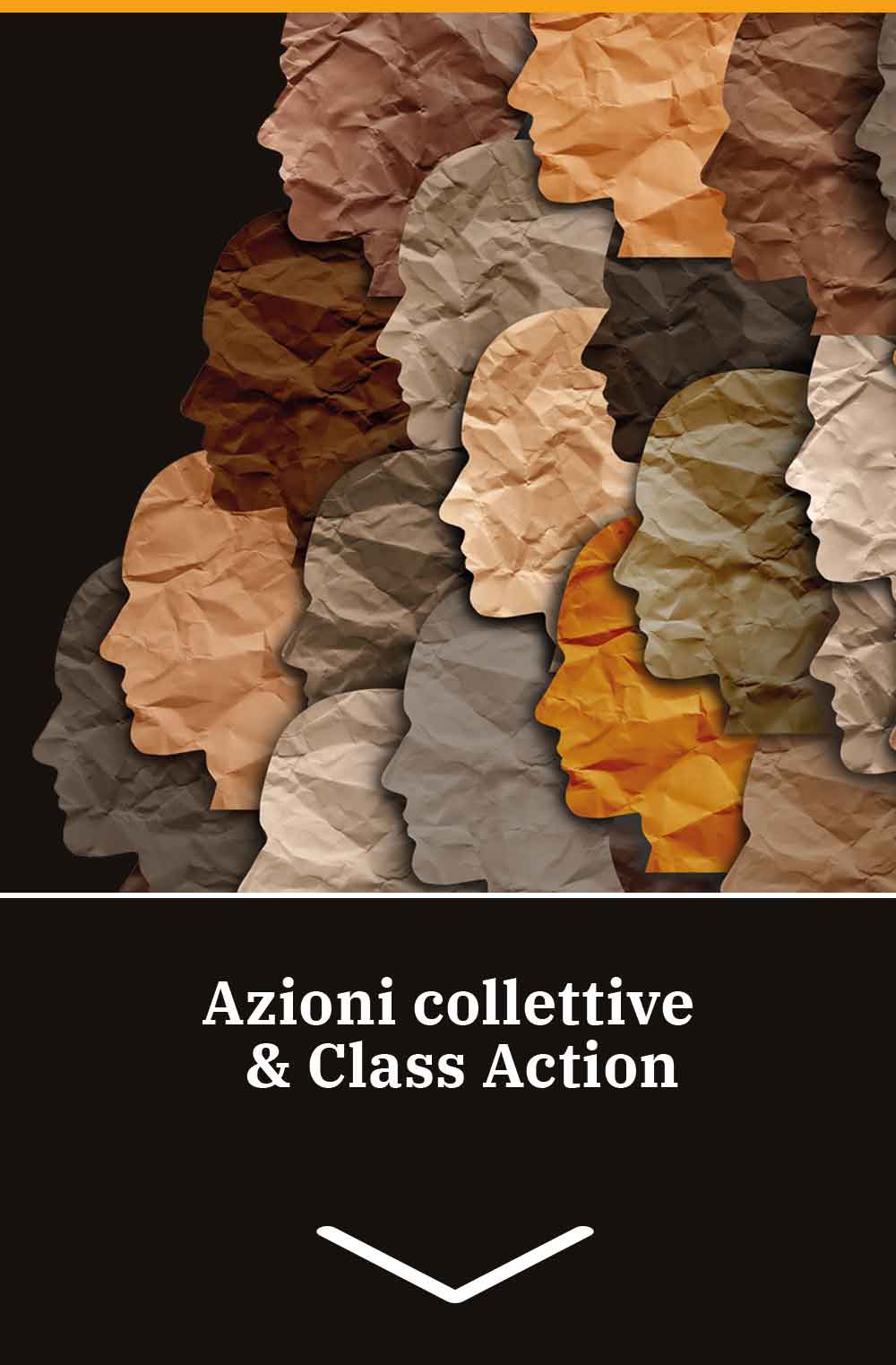 Azioni collettive e Class Action
